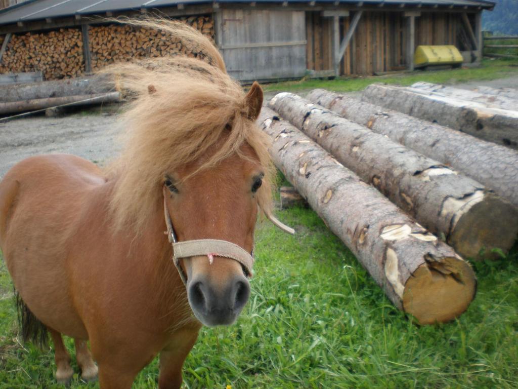 Willa Oberhaslinghof Saalfelden Zewnętrze zdjęcie